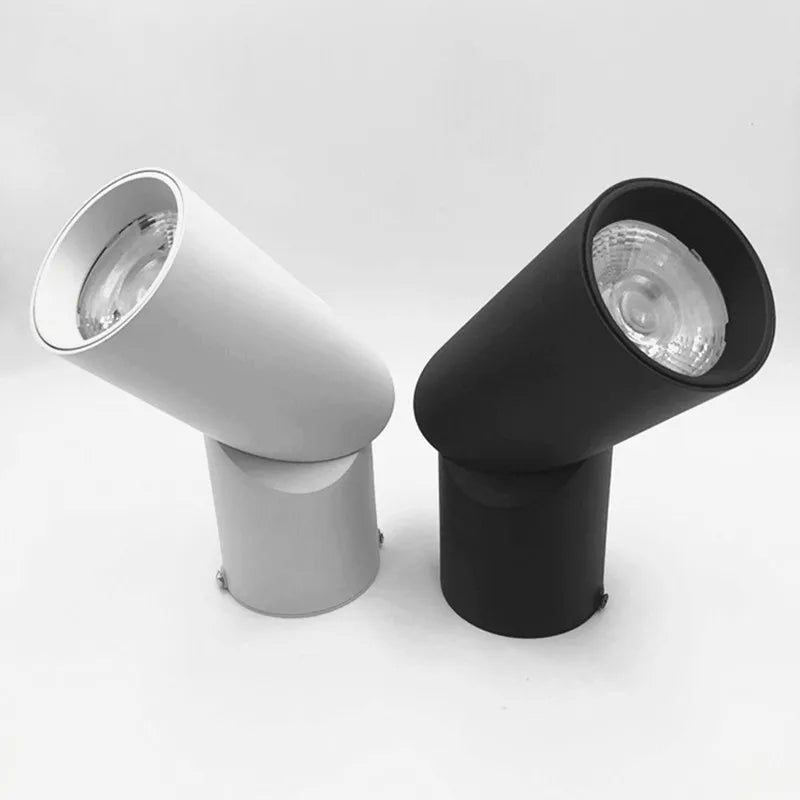 Spot LED plafonnier – Pilote intégré
