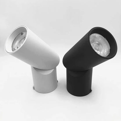 Spot LED plafonnier – Pilote intégré