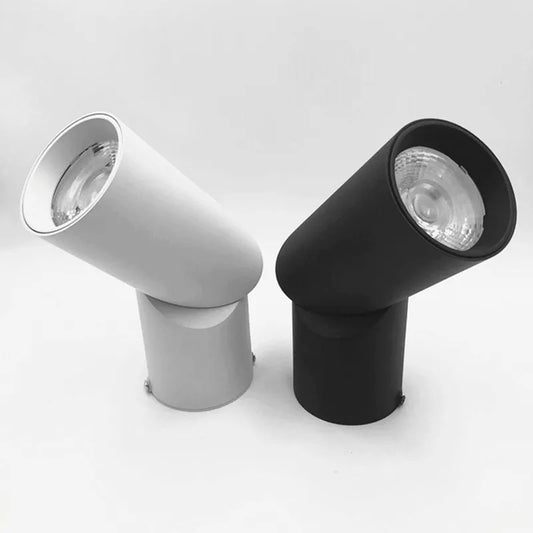 Spot LED plafonnier – Pilote intégré